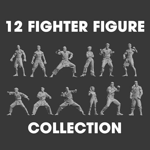 Fighting Character Diorama Figure Collection 3D print model