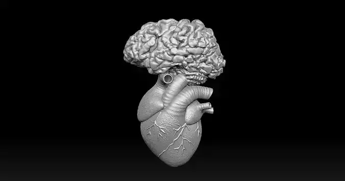 UNIQUE HEART AND BRAIN PENDANT  3D print model