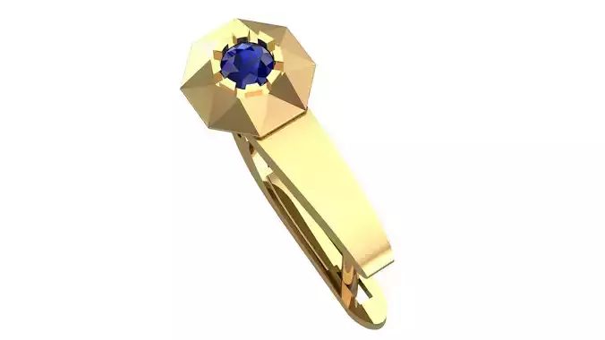 Golden Elegance Meets Blue Passion - Earring Collection--DL54--