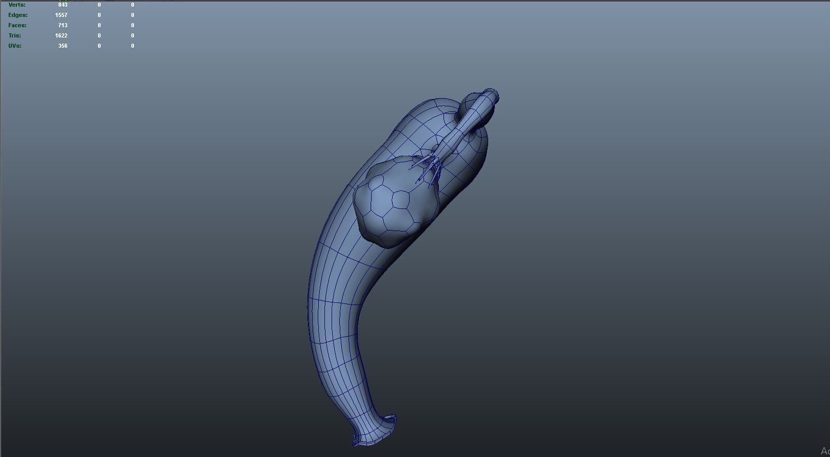 Female reproductive system 3D model_11