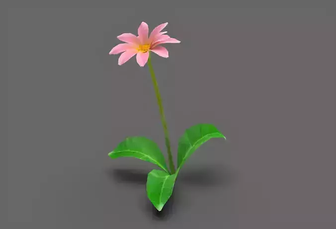 Low poly Flower 