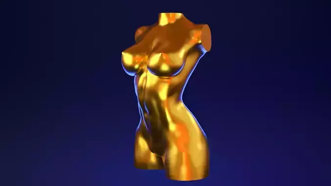 Female Torso 3