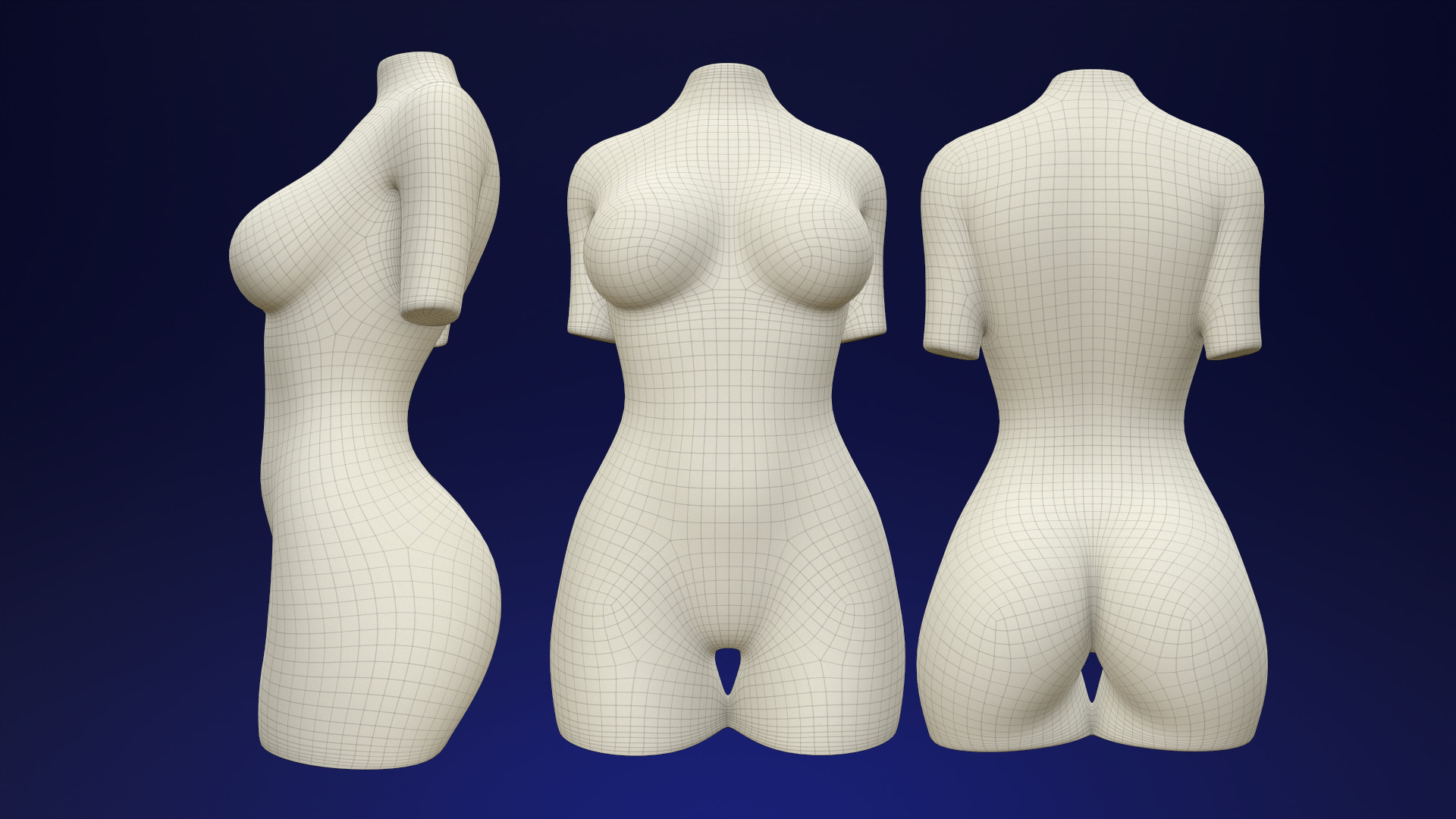 Female Torso 4 3D print model_7