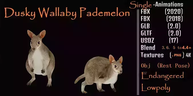 Dusky Wallaby Pademelon Low-poly 3D model