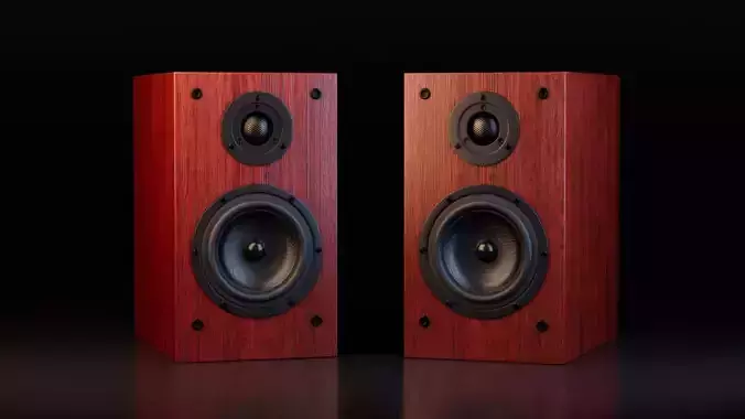 Loudspeaker with Wooden Body