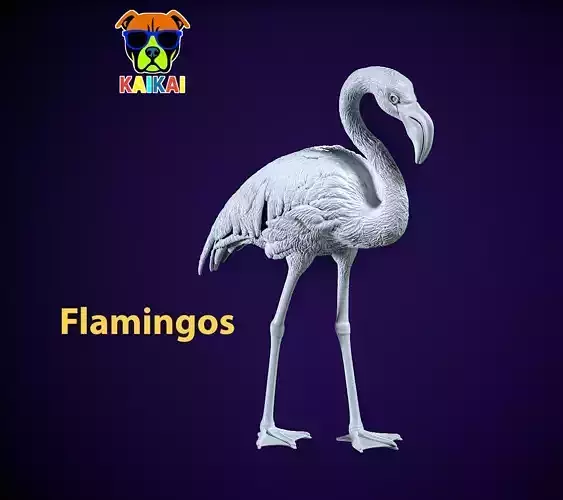 Crane model - flamingos urban vibes