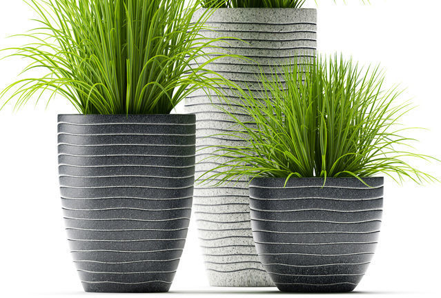 Grass plants 3D model_2