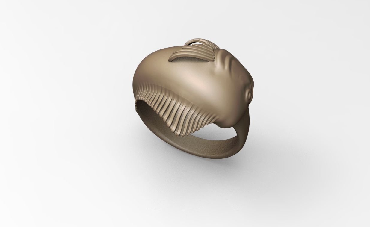 MAHI MAHI DORADO DOLPHIN FISH RING ALL VERSIONS 3D print model_5