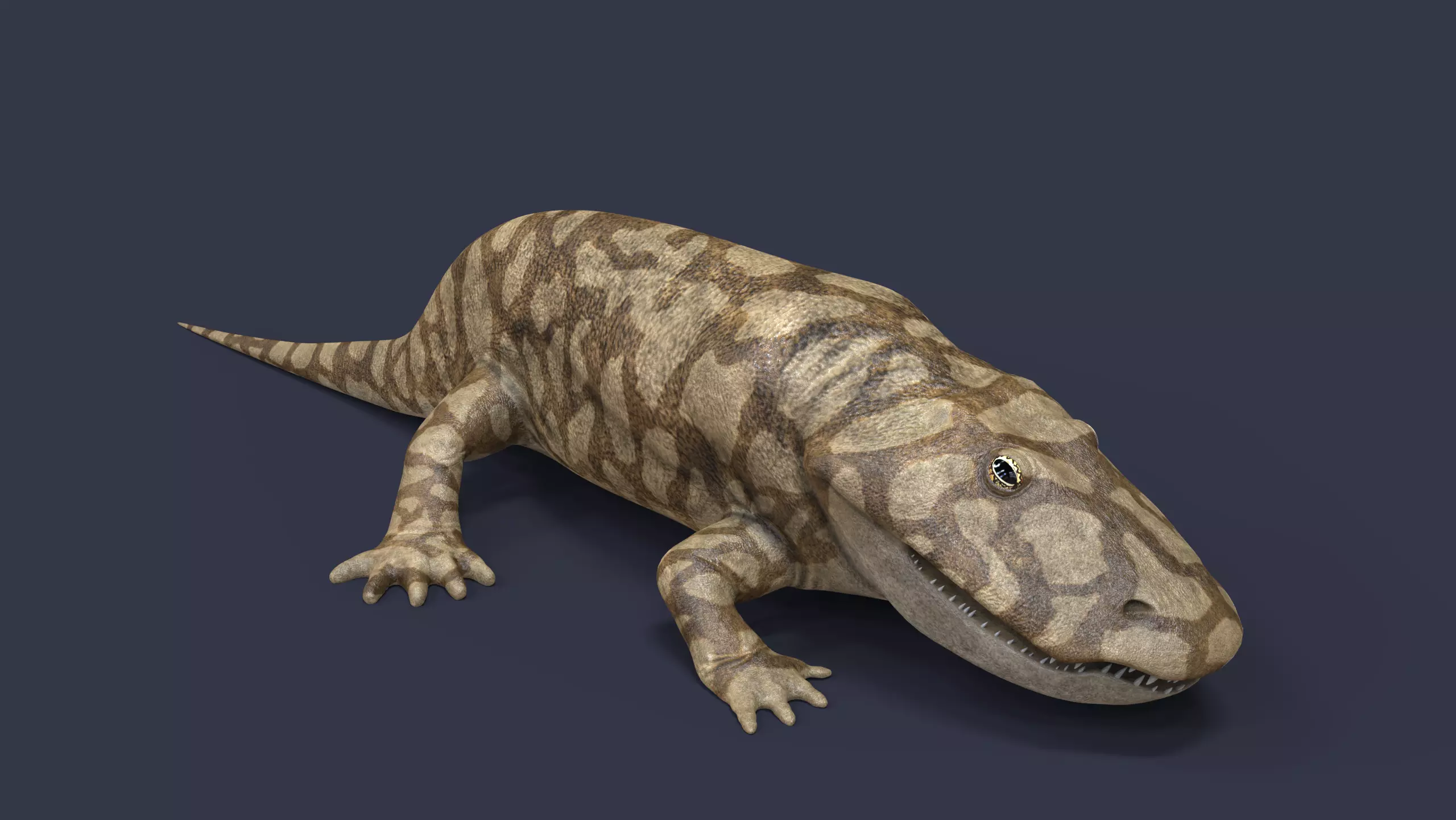 Eryops megacephalus 3D model_2
