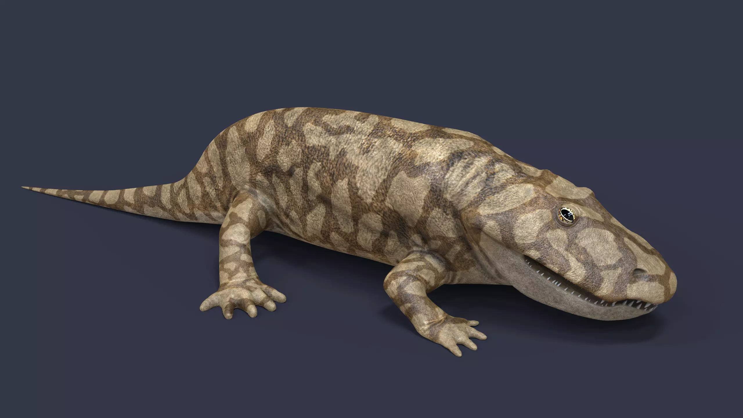Eryops megacephalus 3D model_0