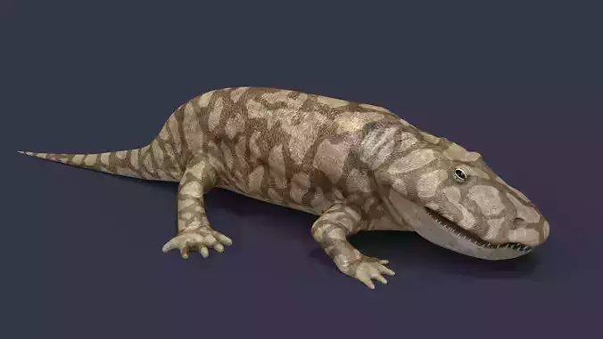 Eryops megacephalus