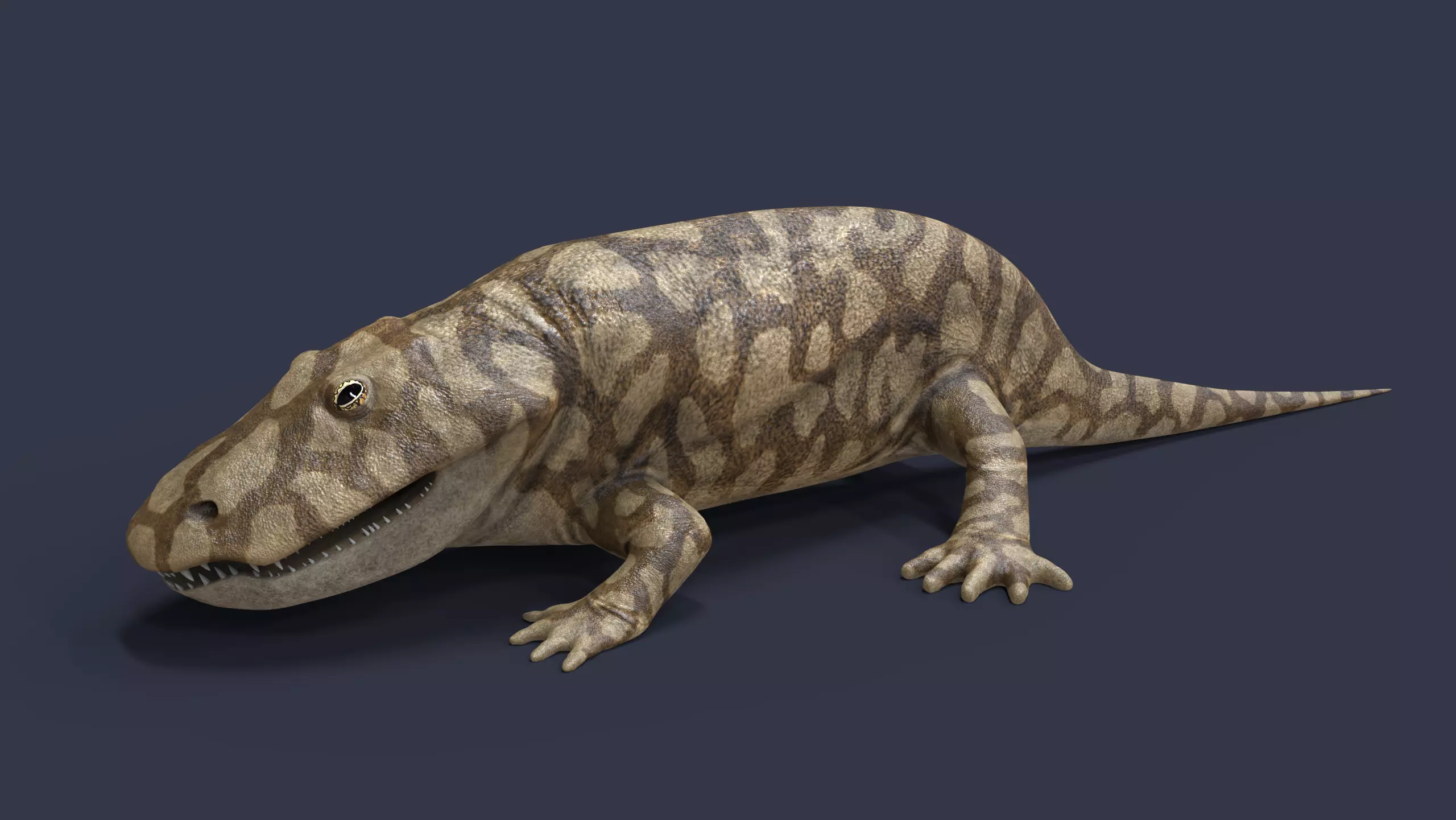 Eryops megacephalus 3D model_5