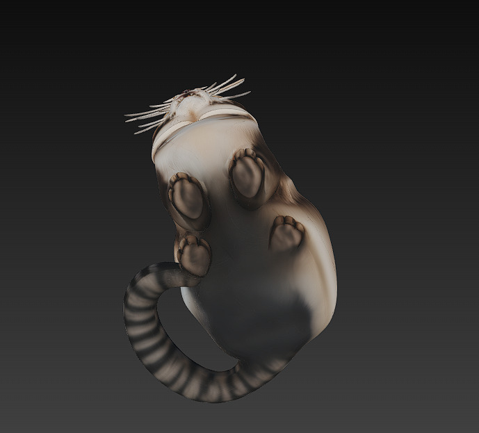 Cat 3D Model Basic - Low Poly Simple Low-poly 3D model_8