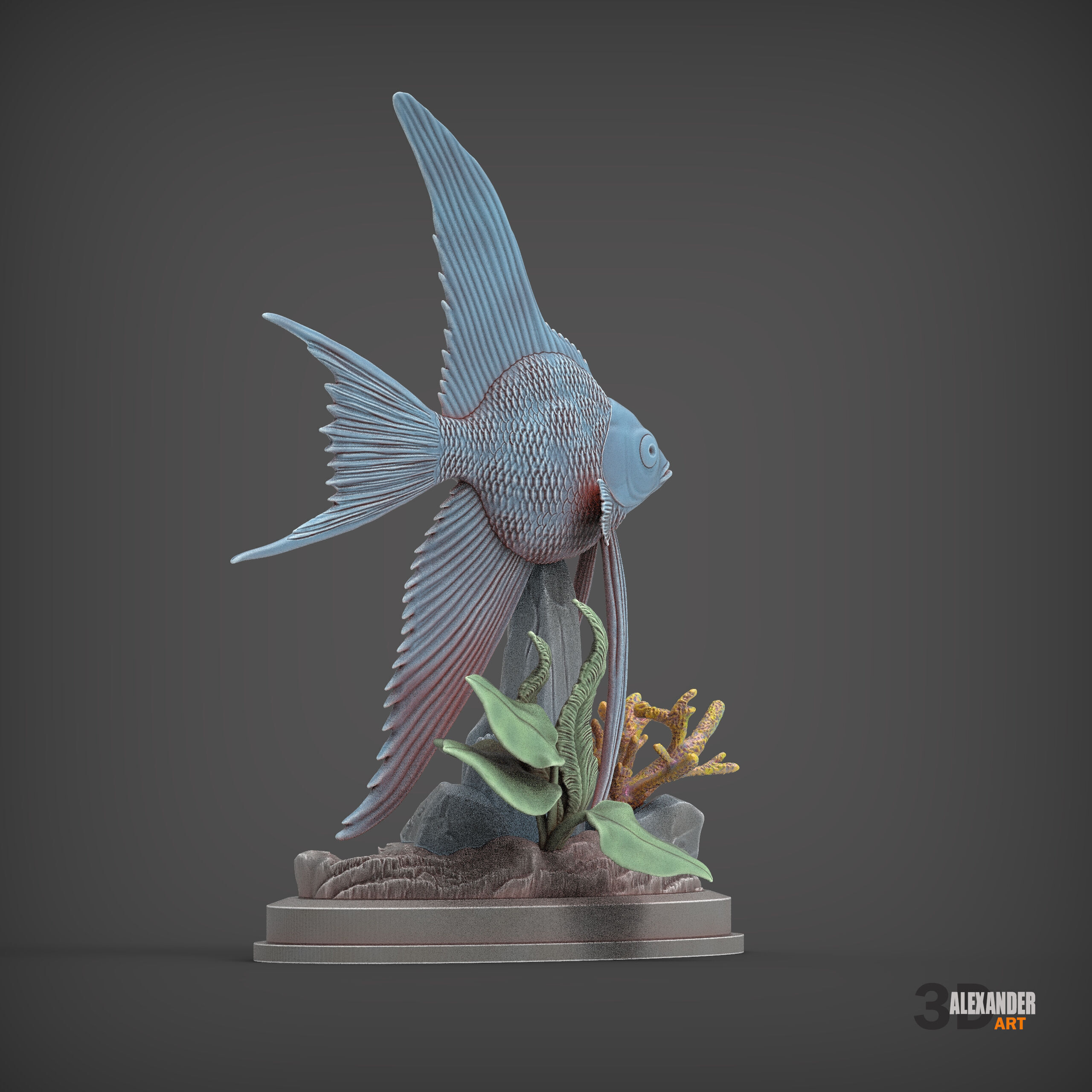 Angelfish 3D print model_4