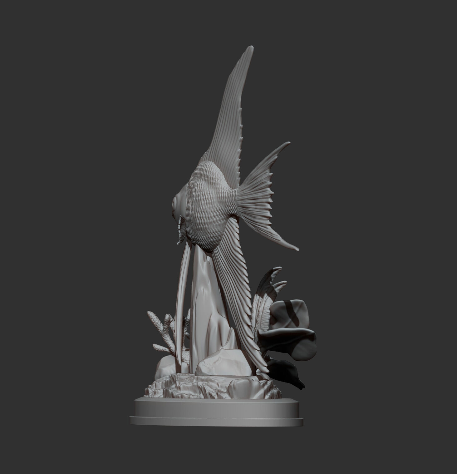 Angelfish 3D print model_9