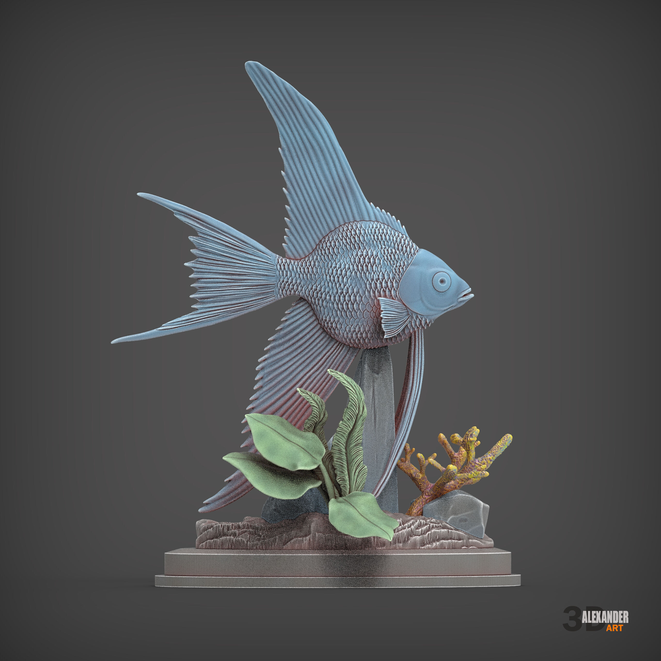 Angelfish 3D print model_3