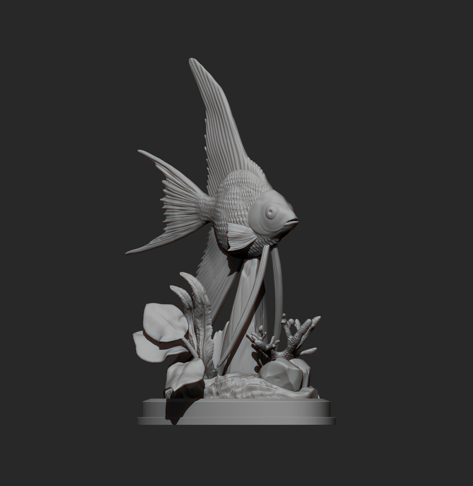Angelfish 3D print model_7