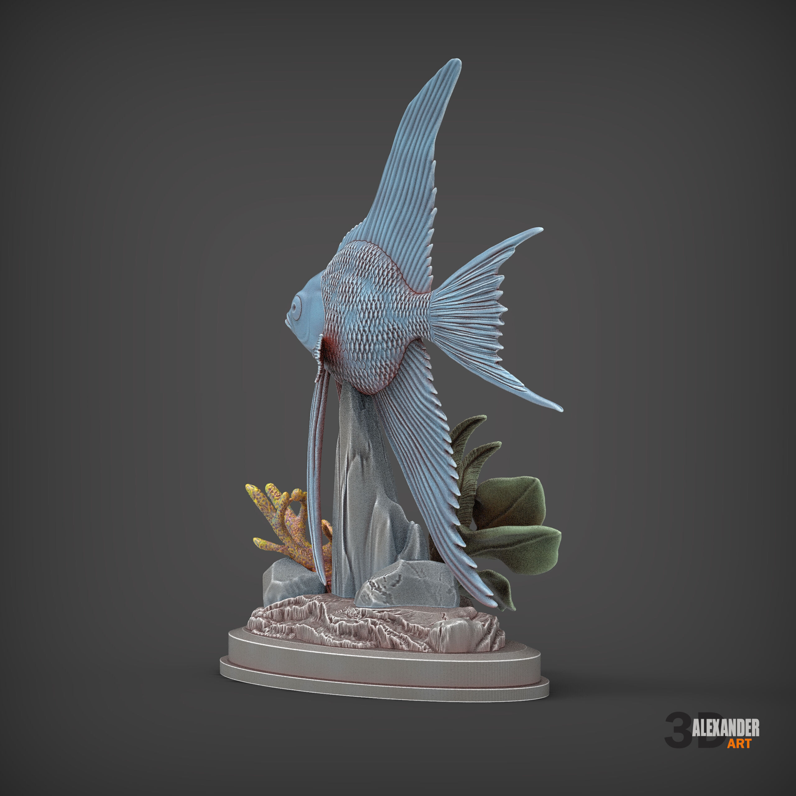 Angelfish 3D print model_5
