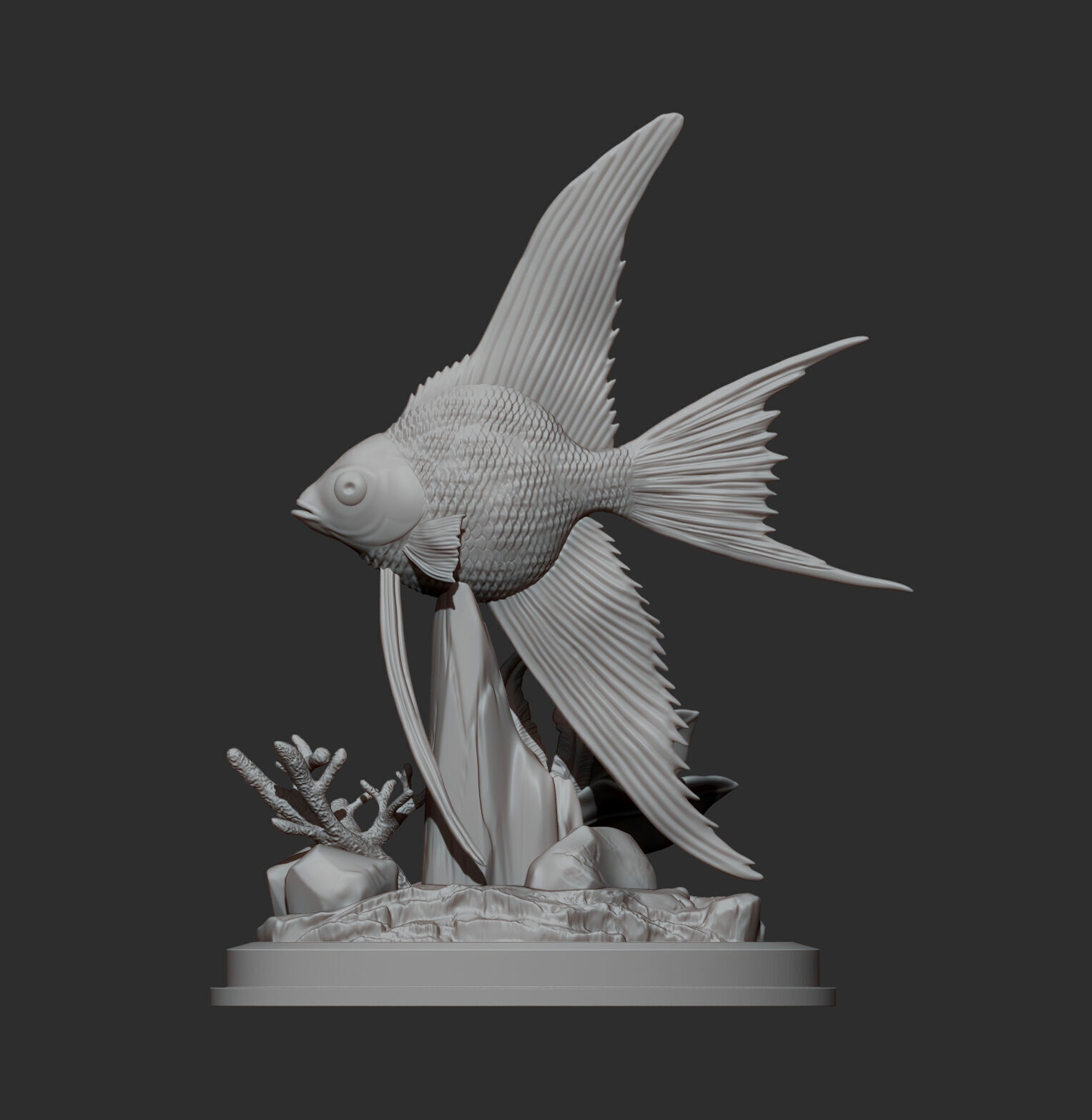 Angelfish 3D print model_11