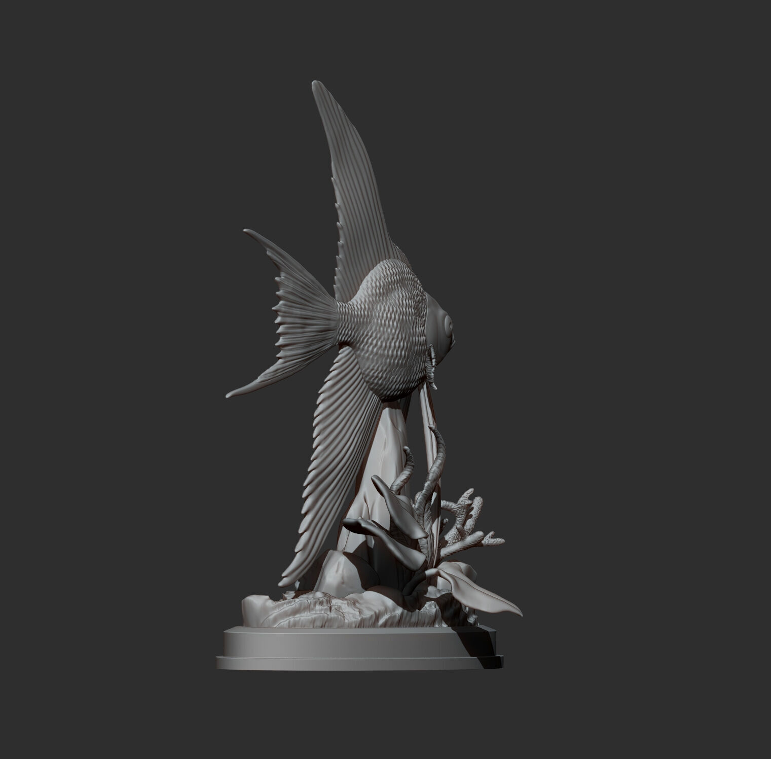 Angelfish 3D print model_10