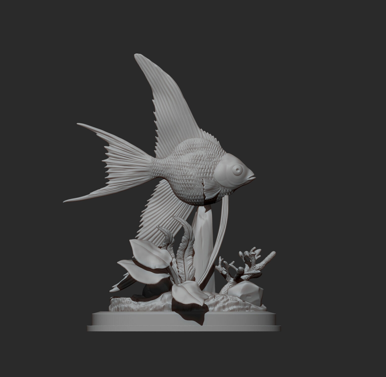 Angelfish 3D print model_12