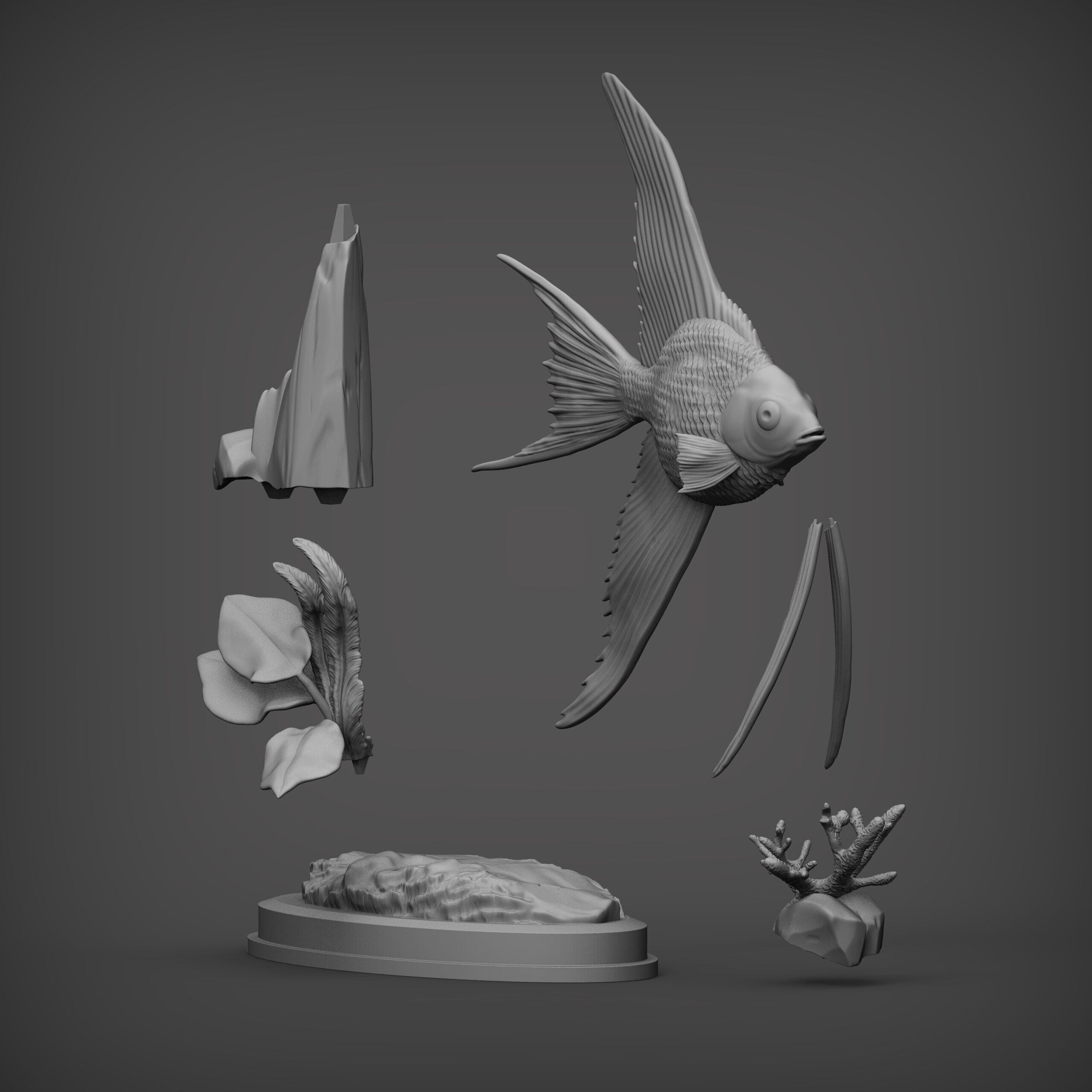 Angelfish 3D print model_13