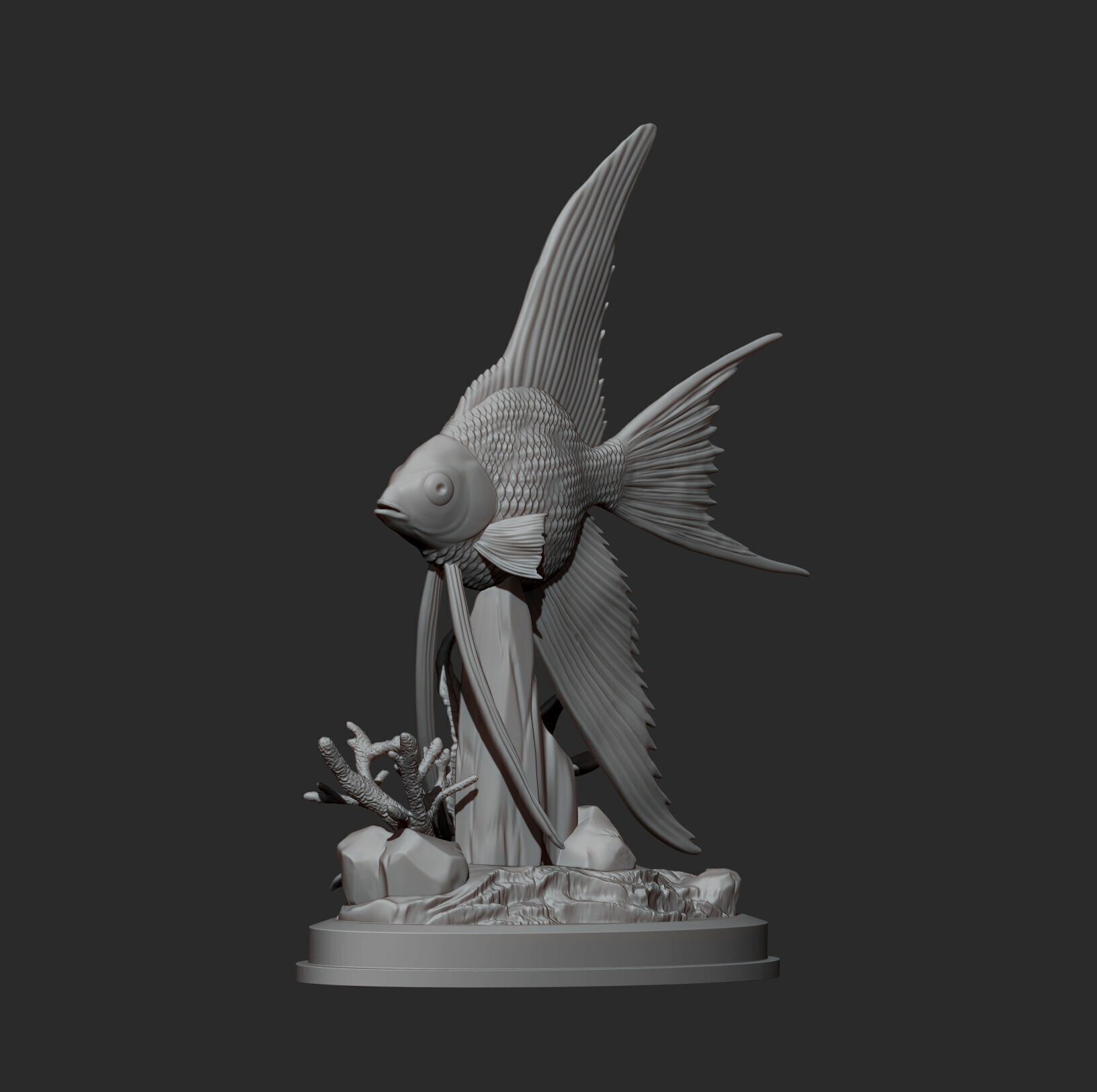 Angelfish 3D print model_8