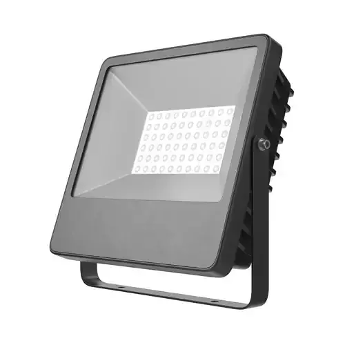 Flood Light