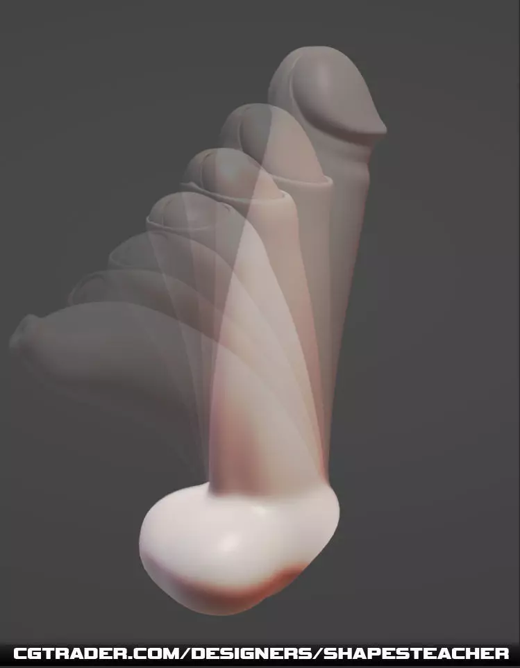 Level-B Animated Penis Low-poly 3D model_0