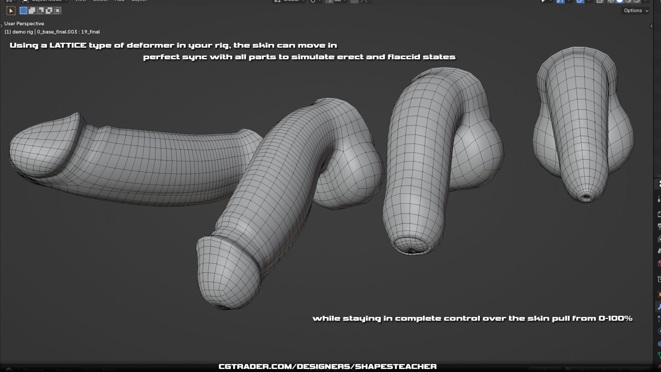 Level-B Animated Penis Low-poly 3D model_3
