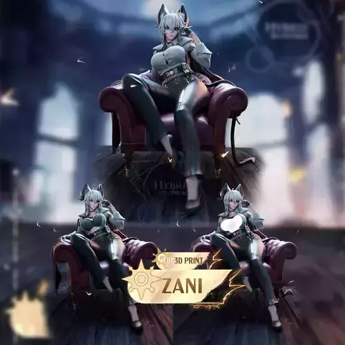 Zani from Wuthering Waves Commercial Package 3D print model