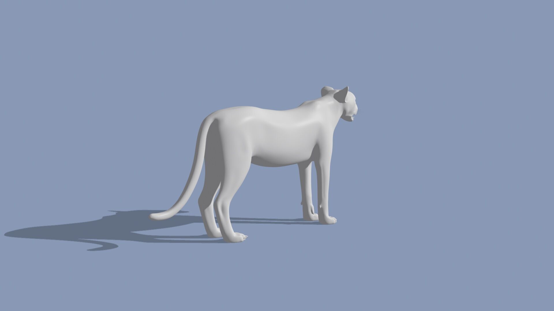 Cheetah Shape 3D model_8