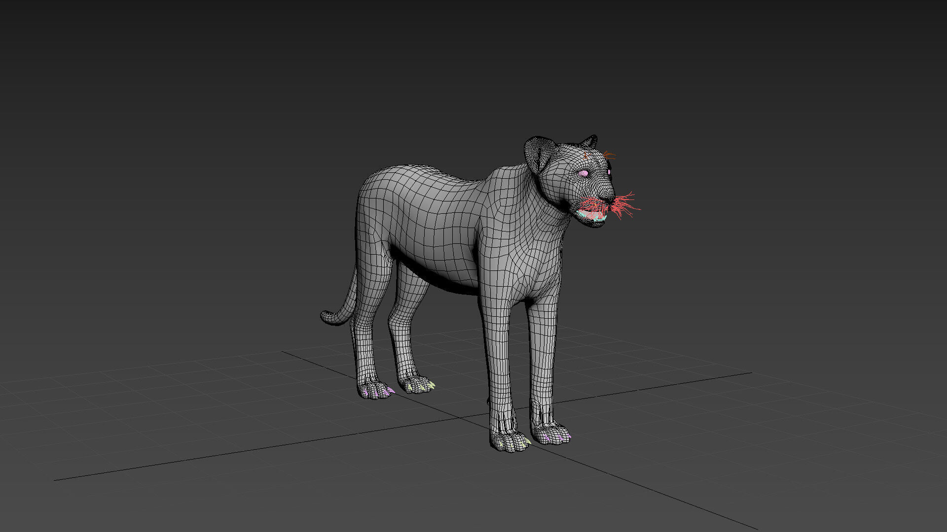 Cheetah Shape 3D model_4