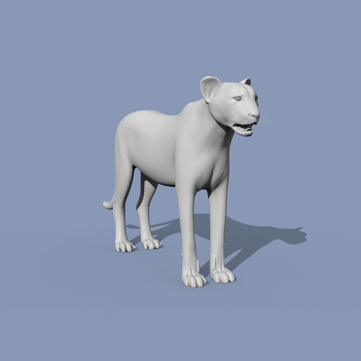 Cheetah Shape 3D model_1