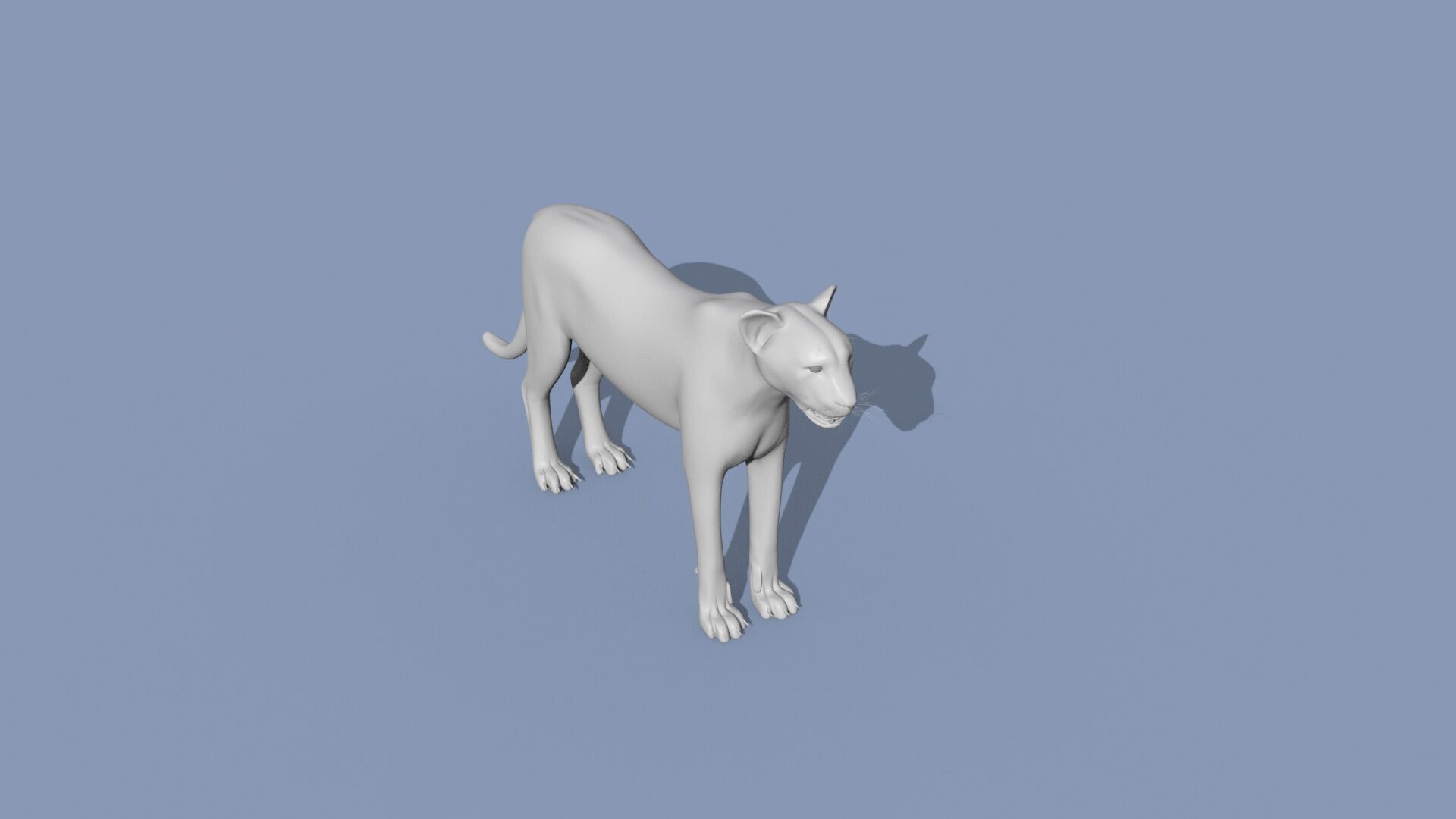 Cheetah Shape 3D model_11