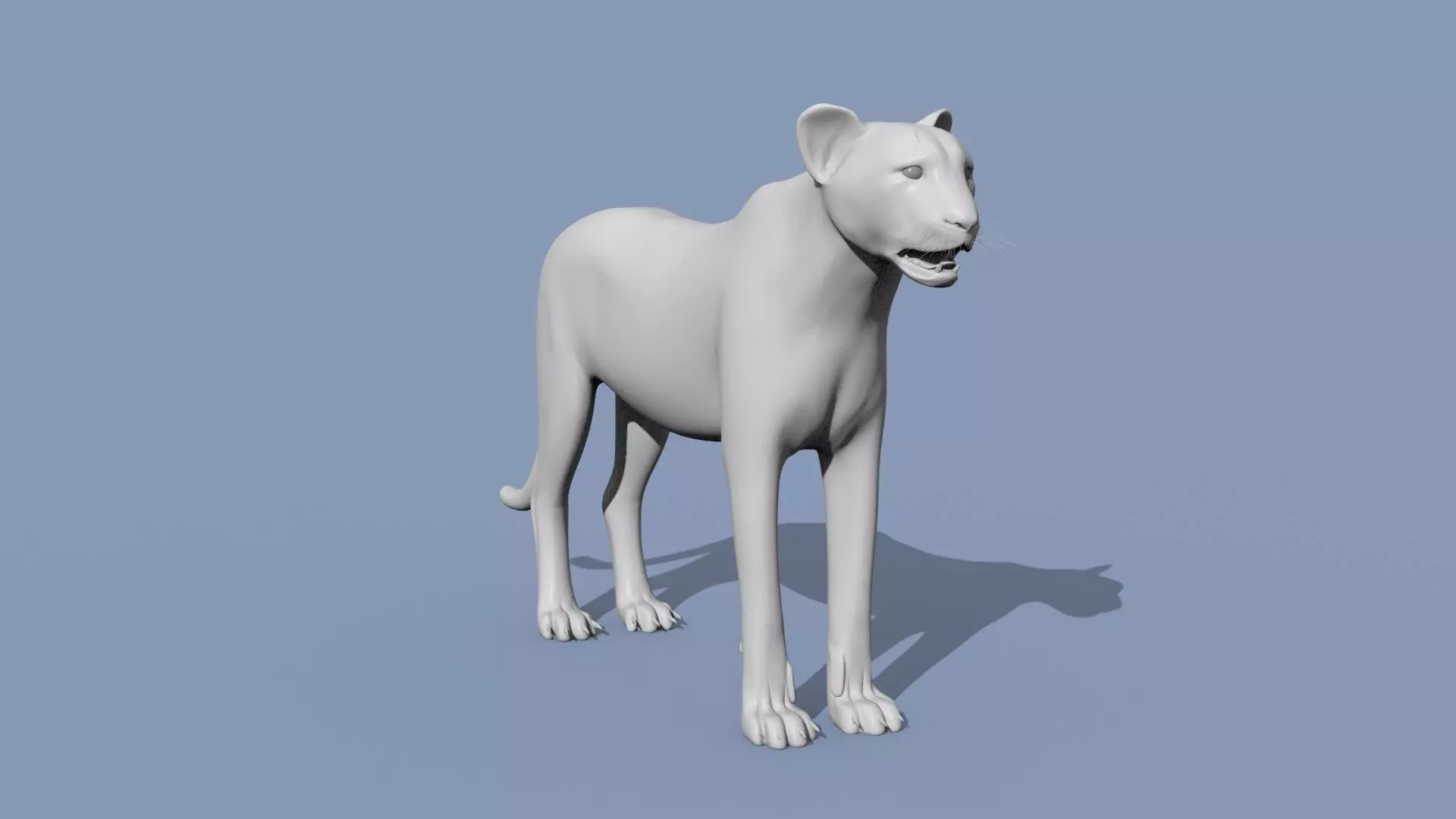 Cheetah Shape 3D model_0