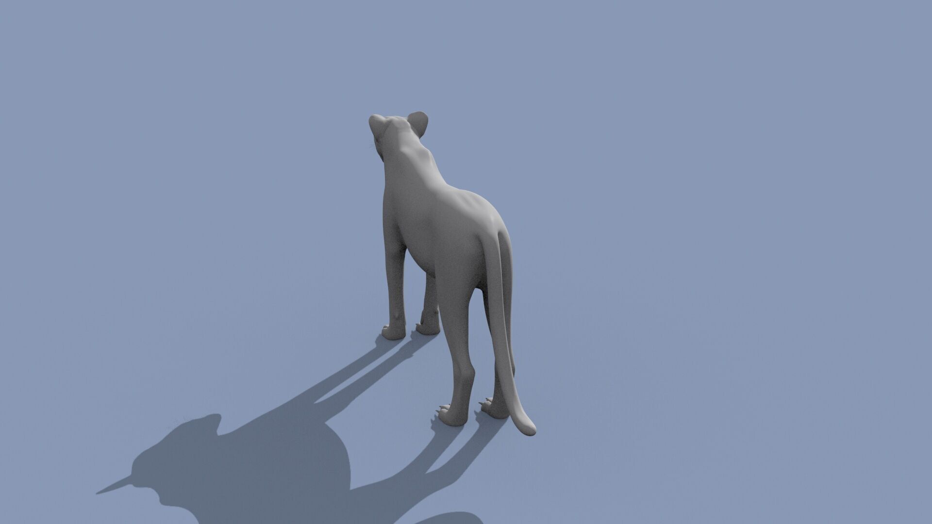Cheetah Shape 3D model_9