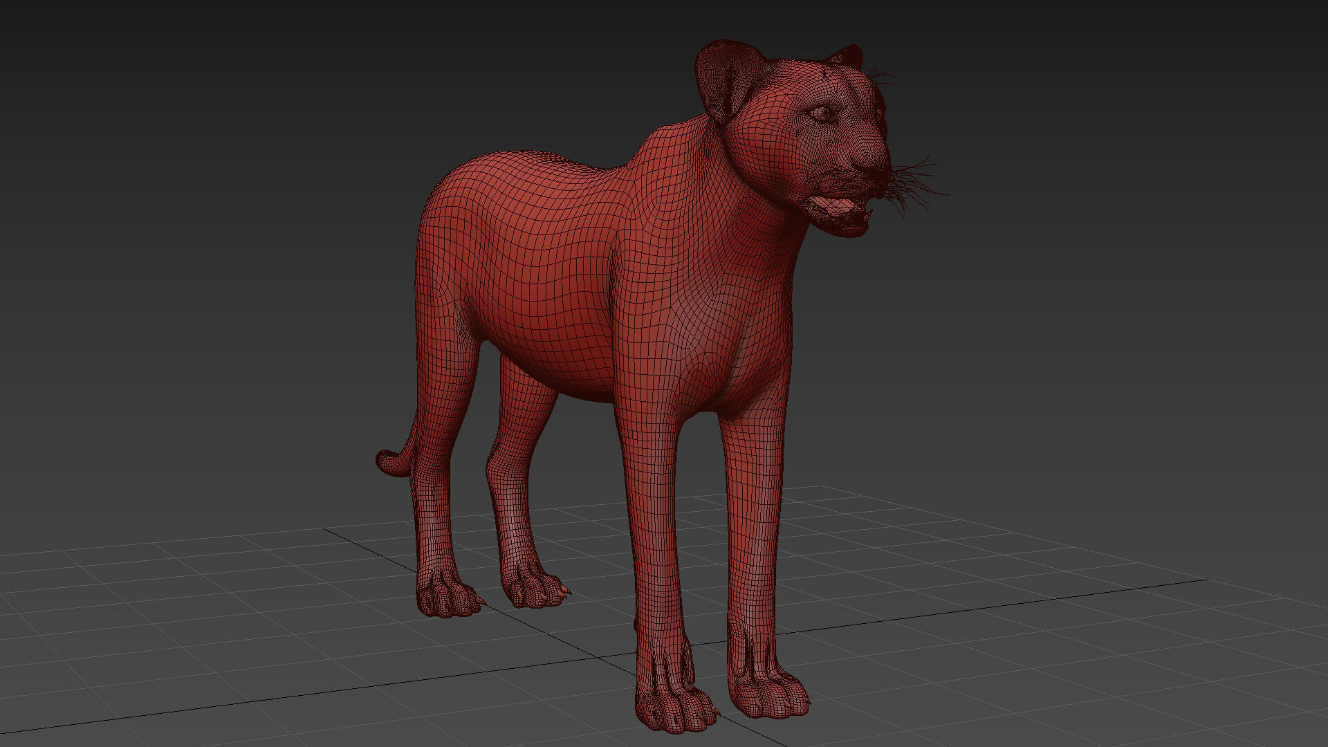 Cheetah Shape 3D model_12
