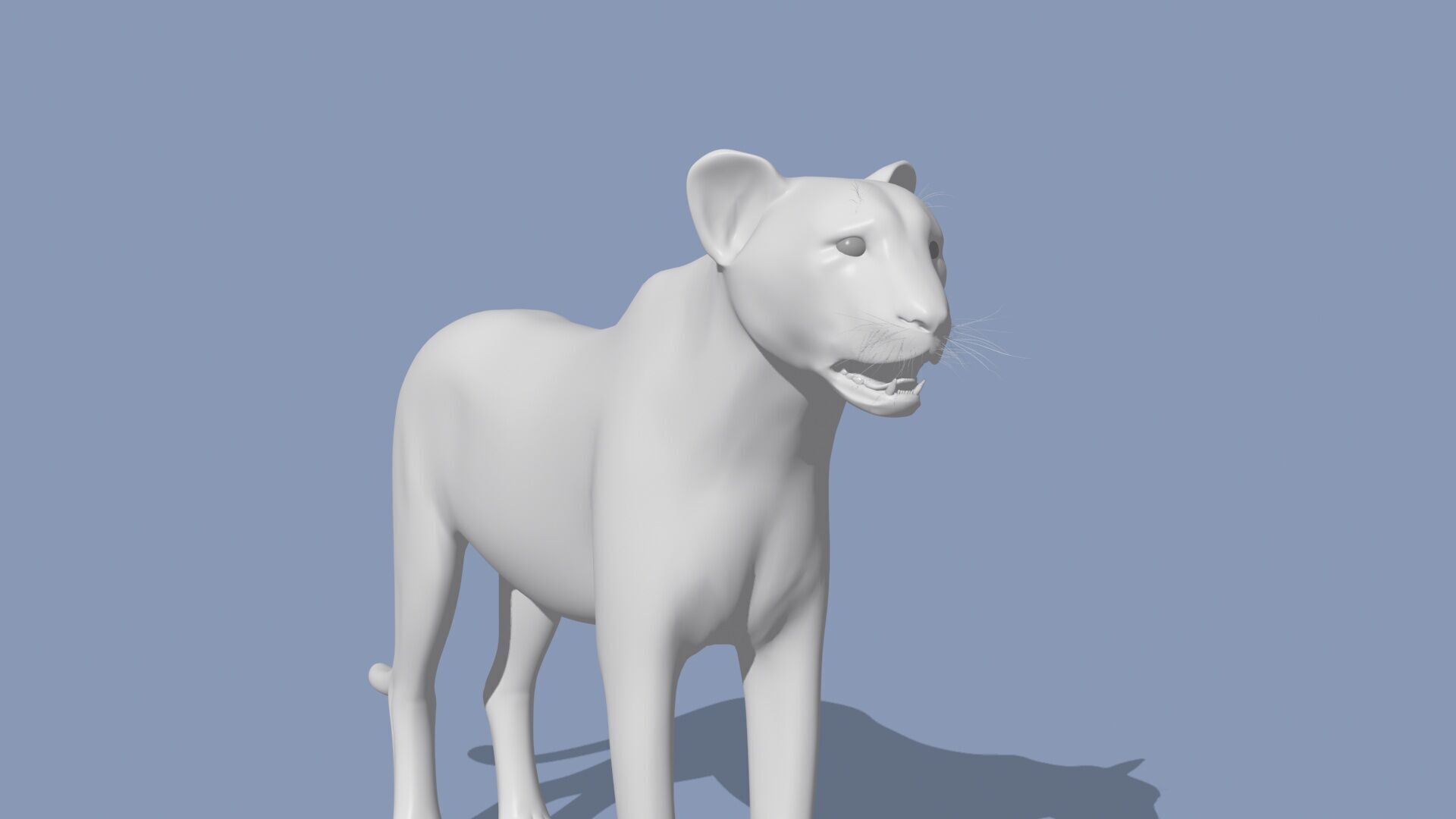 Cheetah Shape 3D model_7
