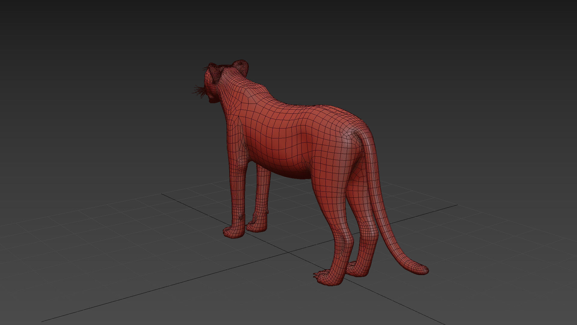 Cheetah Shape 3D model_3