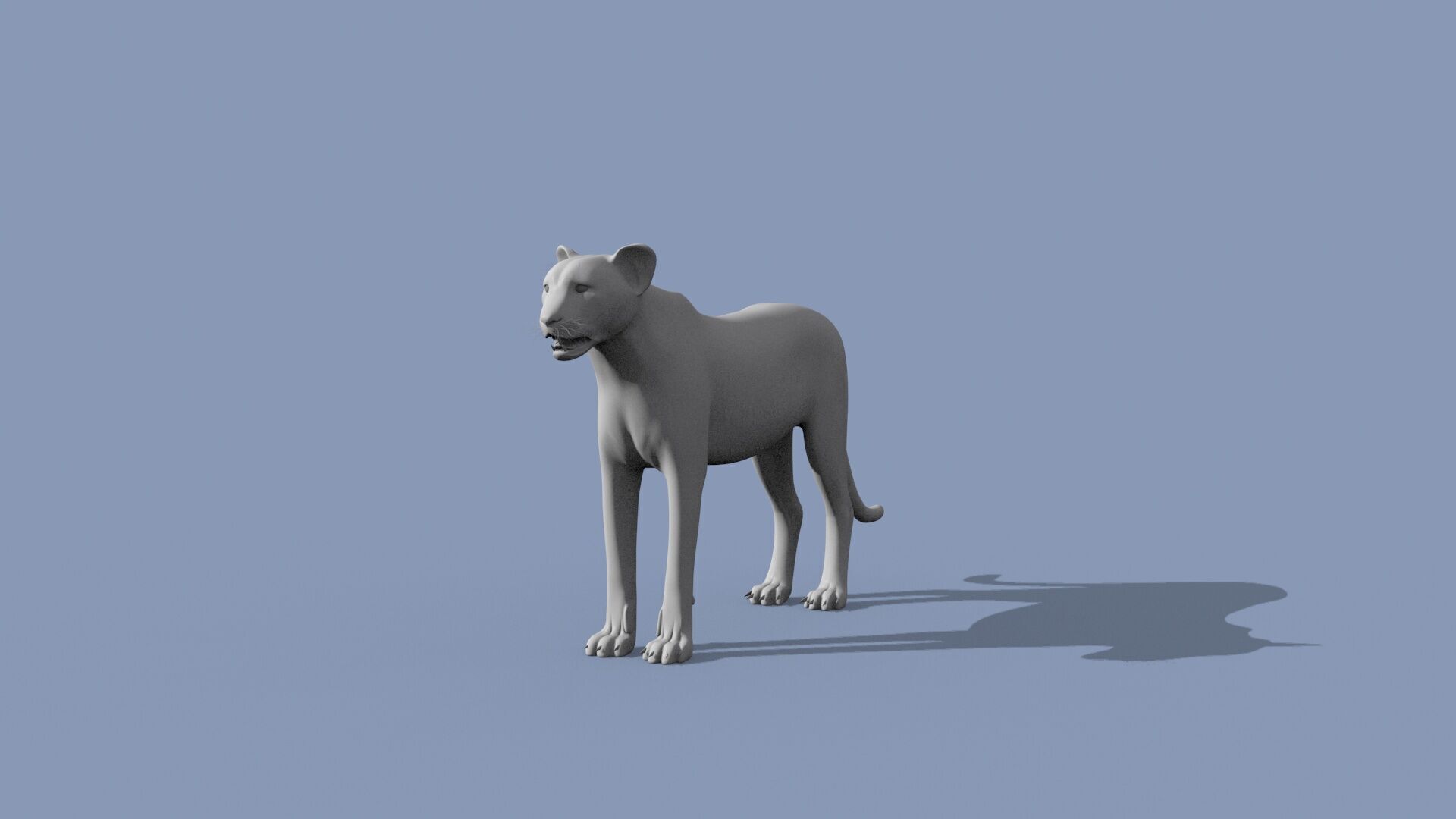 Cheetah Shape 3D model_10