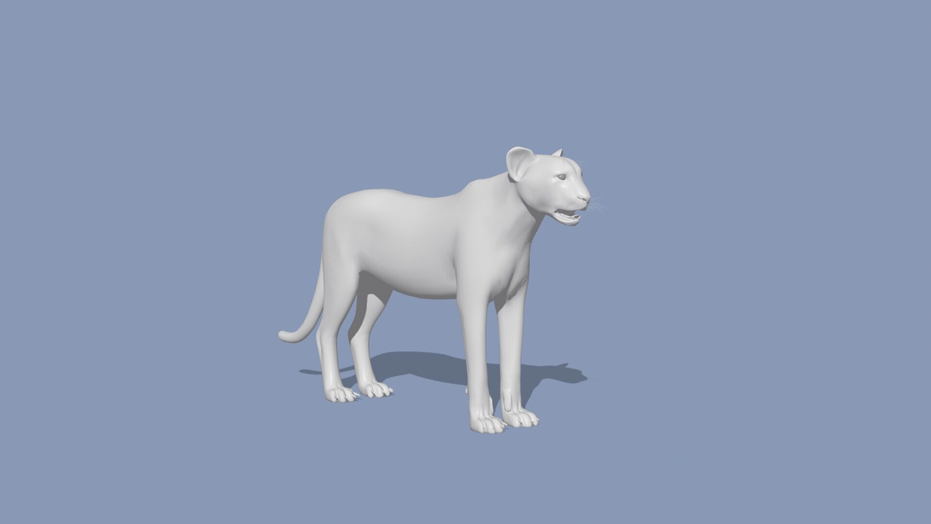 Cheetah Shape 3D model_6