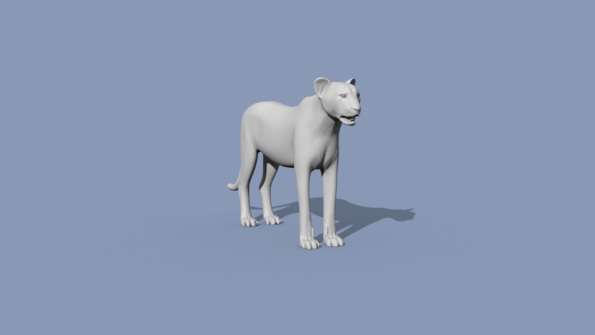 Cheetah Shape 3D model_2