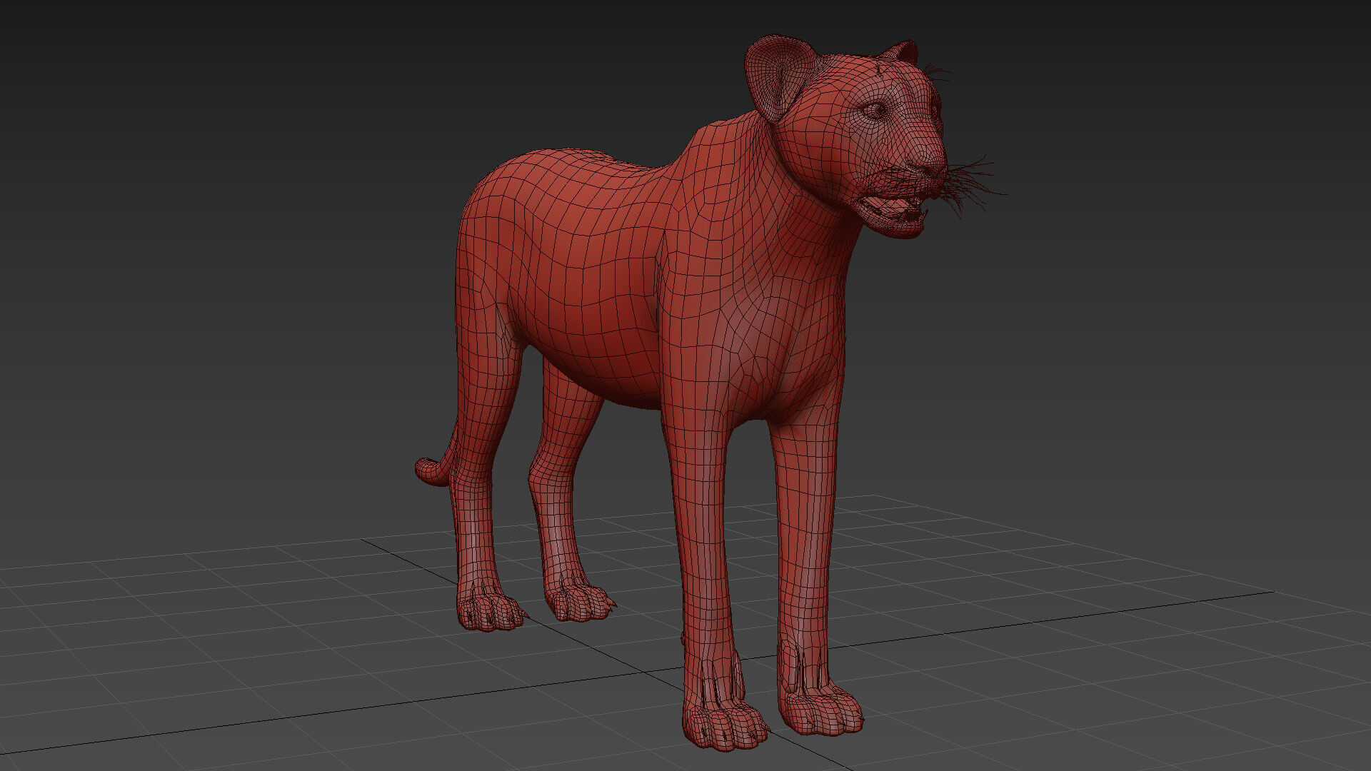 Cheetah Shape 3D model_13