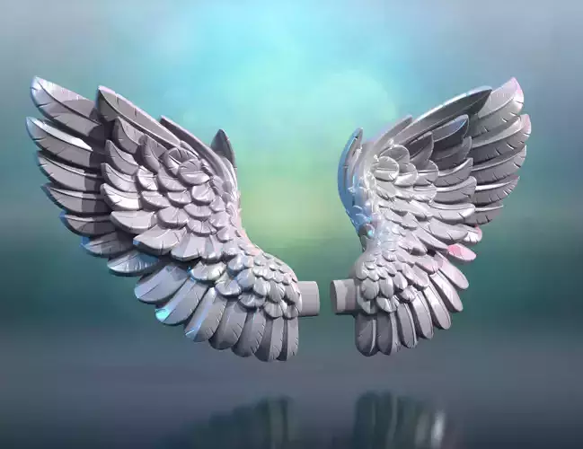 Angel Wings