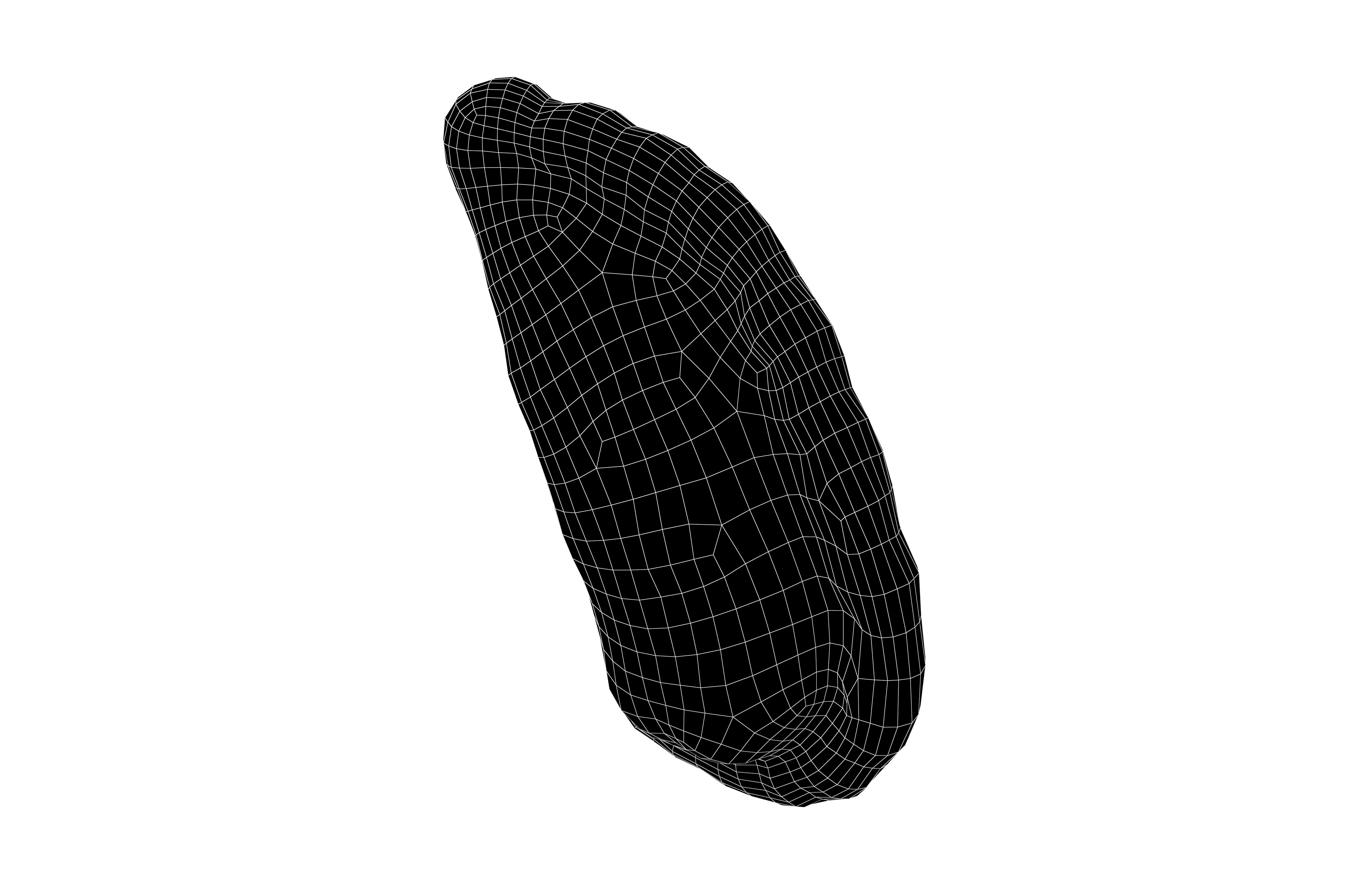 Fried Empanadas v1 001 Low-poly 3D model_6