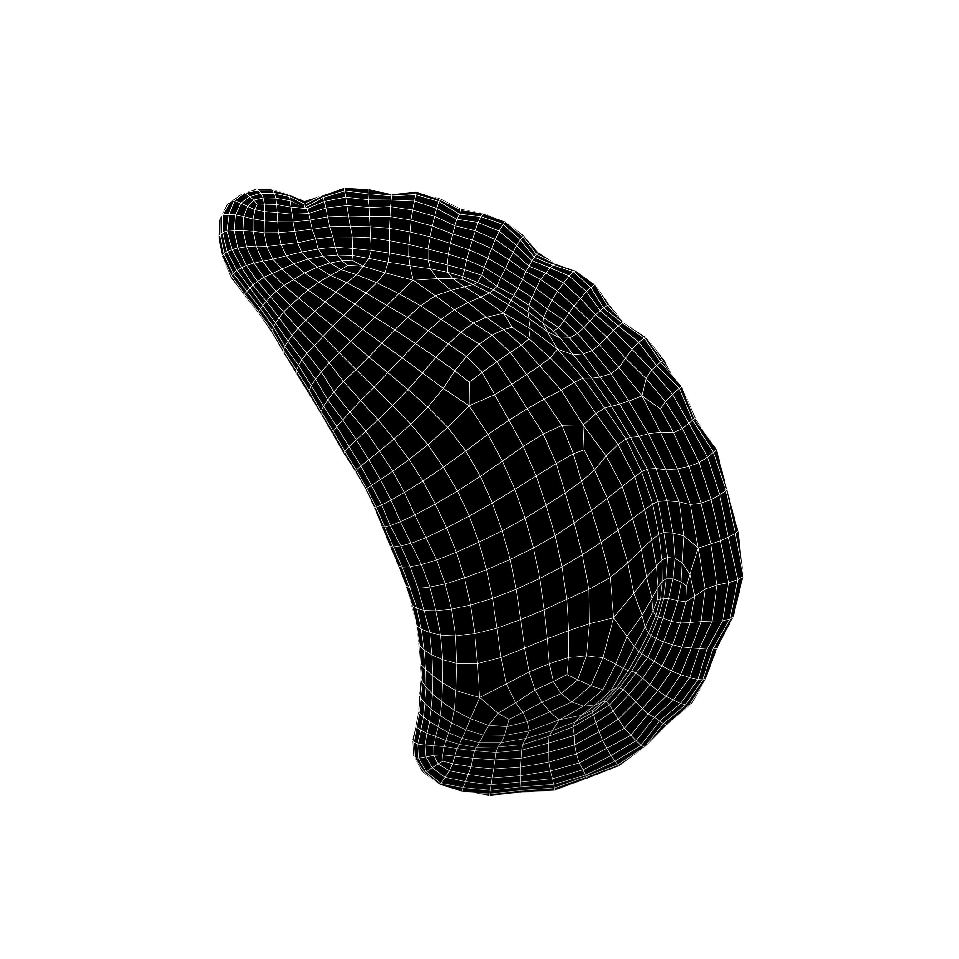 Fried Empanadas v1 001 Low-poly 3D model_4