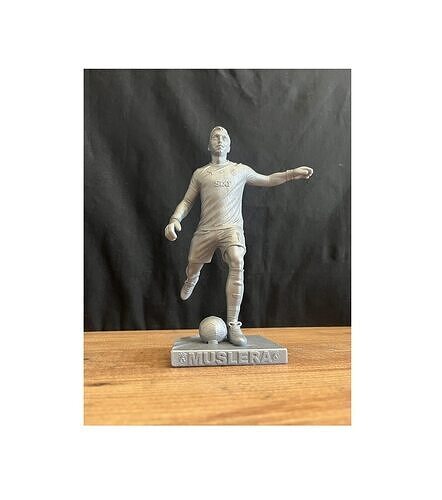 Fernando Muslera Galatasaray Fans  Fernando Muslera 3D Baski  3D print model