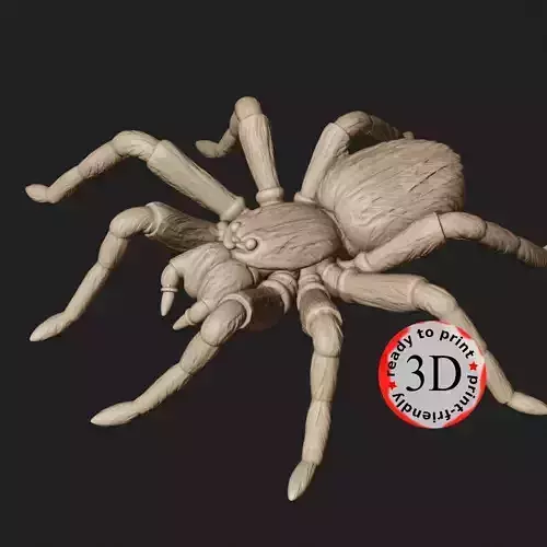 tarantula spider  easy printing 3D