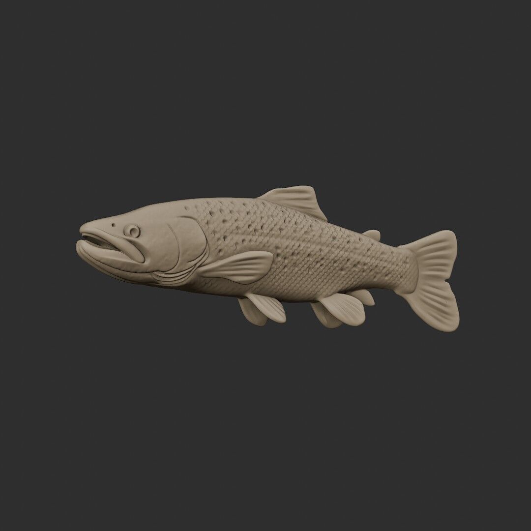 TROUT 3D easy to print 3D print model_5
